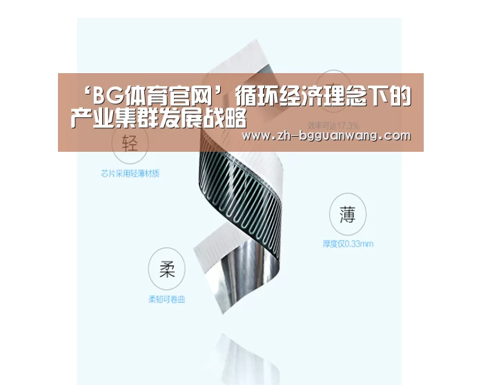 ‘BG体育官网’循环经济理念下的产业集群发展战略(图1) BG体育官网