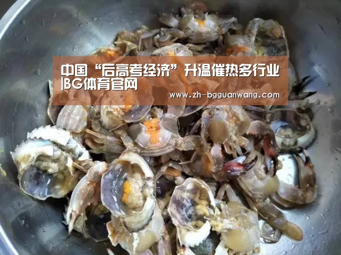中国“后高考经济”升温催热多行业|BG体育官网(图3) BG体育官网